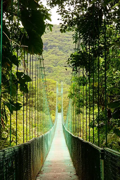 Location: Monteverde - Selvatura