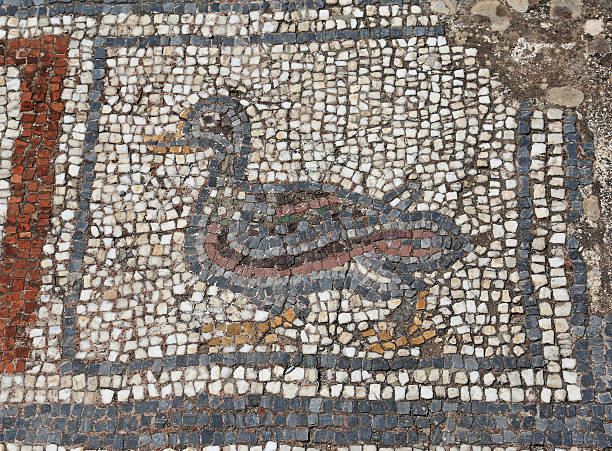 istock Ephesus Duck Mosaic 508747858