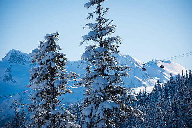 istock Whistler ski resort in winter 508749292