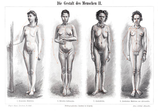 ilustraciones, imágenes clip art, dibujos animados e iconos de stock de la anatomía forma de mujeres grabado 1897 - engraved image fotos