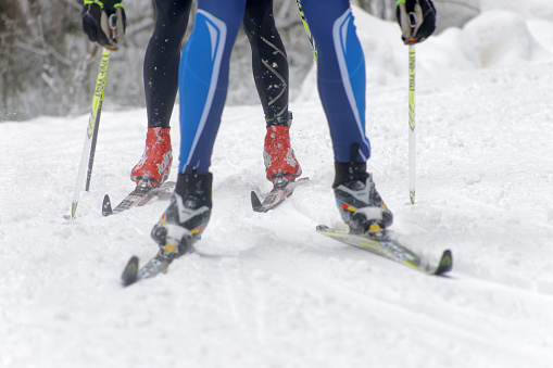 Stockholm, Sweden - January 24, 2016: Close up of colorful skies, feet and legs of two cross country skiers at the Stockholm Ski Marathon event January 24, 2016 in Stockholm, Sweden