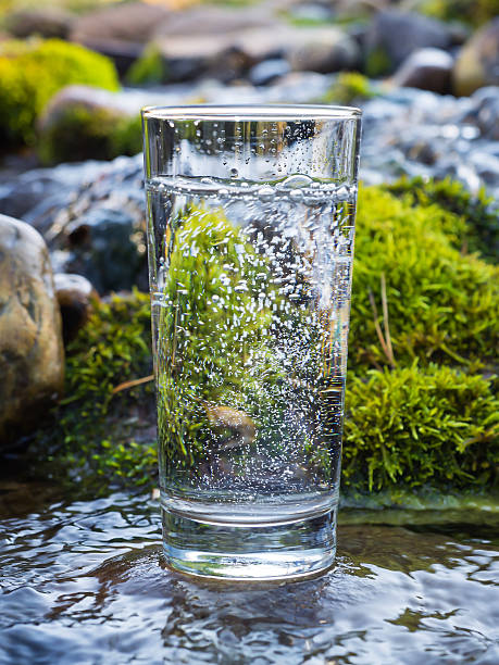 istock Natural water in a glass 508751624