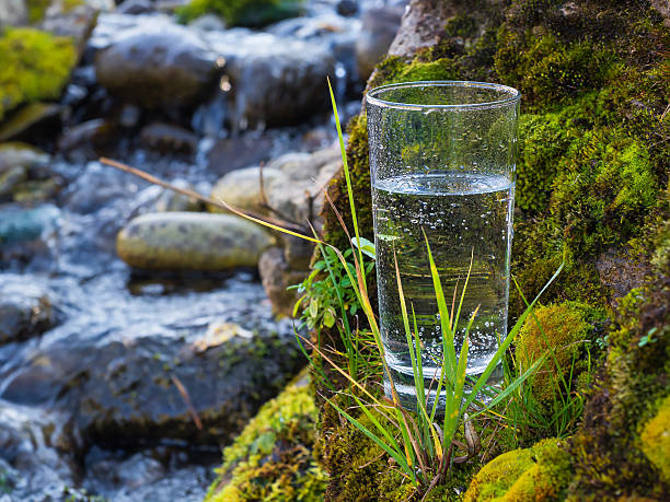 istock Natural water in a glass 508751718