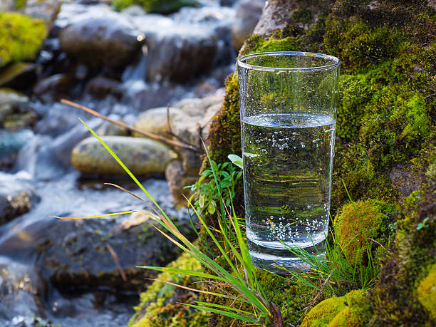 istock Natural water in a glass 508751776