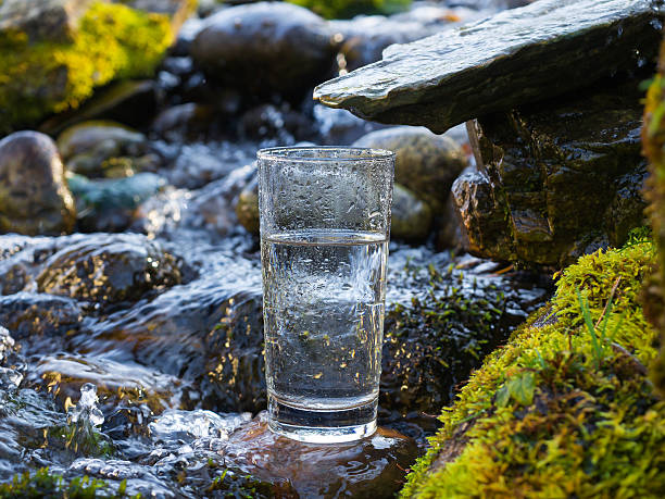 istock Natural water in a glass 508751826