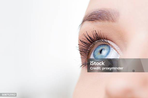 Weibliche Auge Makro Schuss Stockfoto und mehr Bilder von Auge - Auge, Blaue Augen, Nahaufnahme