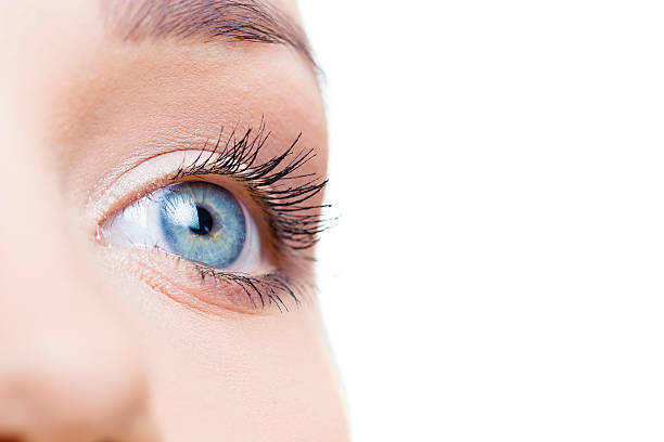 istock Female eye macro shot 508752882