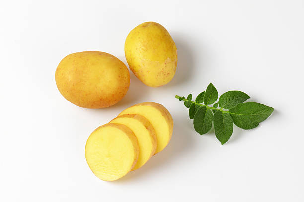 새로운 감자 - new potato raw potato freshness organic 뉴스 사진 이미지