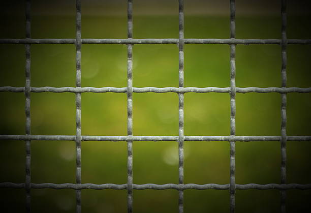 istock Looking Through Metal Fence 508754773