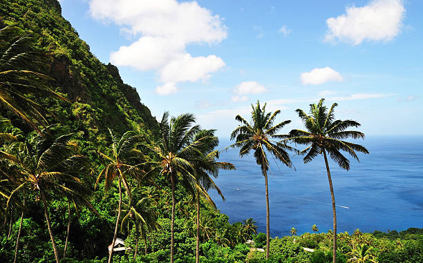 istock Palms trees align at the base of Mount Piton 508755532