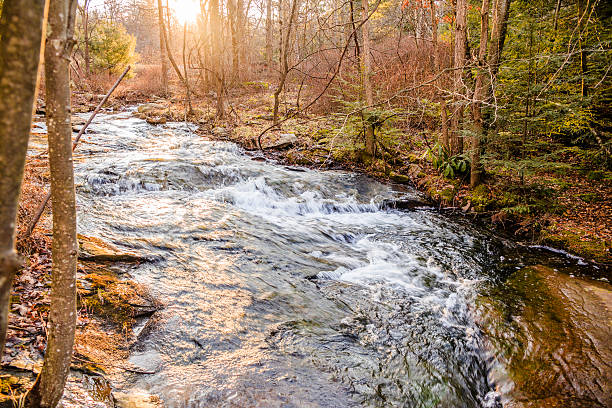 istock River in the forest in the Poconos, Pennsylvania 508757101
