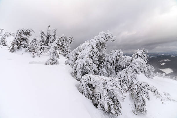istock Bad weather in the mountains. Winter landscape. 508757628