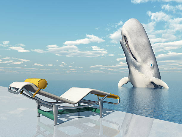 istock Deck Chair and Sperm Whale 508757827