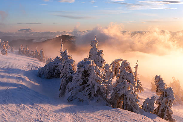 istock Winter landscape. Sunrise in the mountains. 508757988