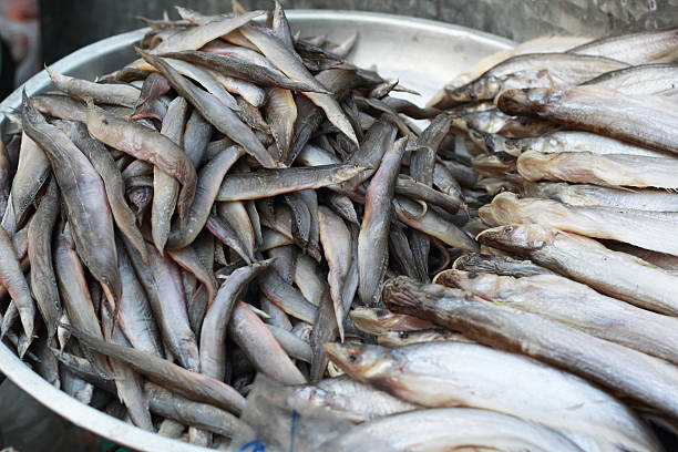istock Fresh fish in the market. 508758037