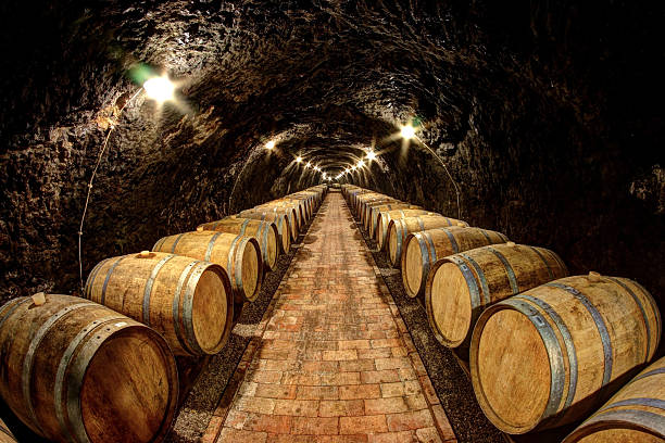 와인 cellar - agriculture winemaking cultivated land diminishing perspective 뉴스 사진 이미지