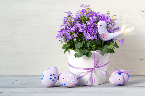 Beautiful easter composition in pastel colors with Campanula flowers, Easter eggs and ceramic bird, on white wooden background