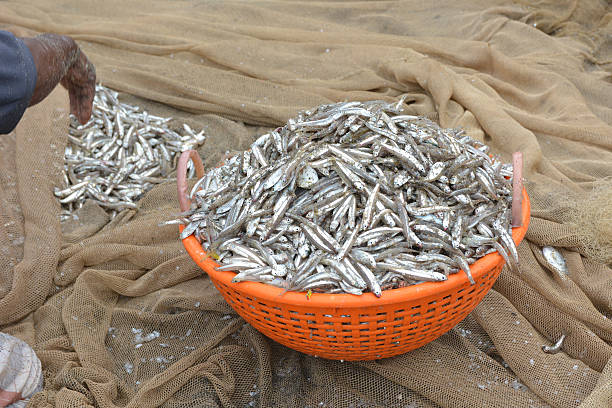 istock Traditional fishing 508761174