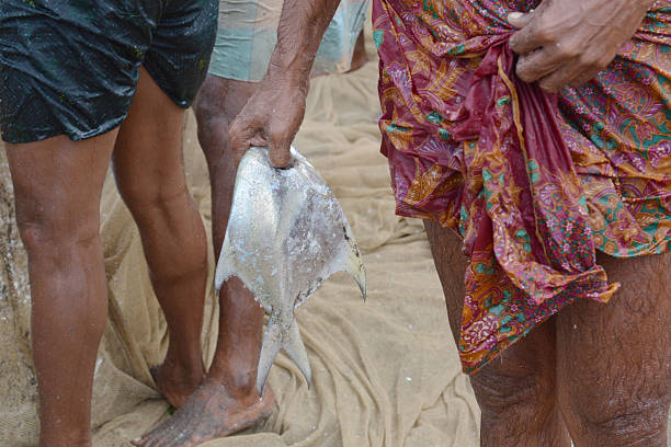istock Traditional fishing 508761494