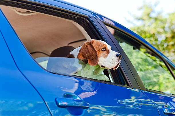 istock travel in the blue car 508786537