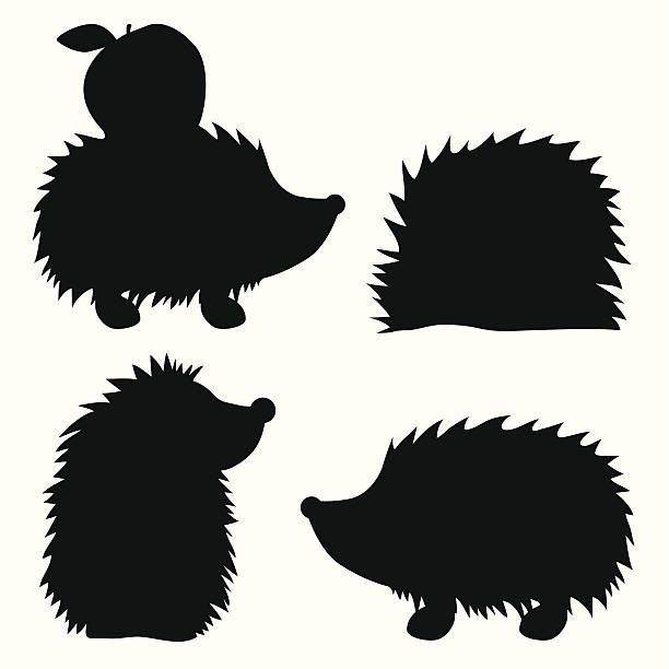 Hedgehog Set Silhouettes of hedgehogs from different angles silhouette of a cute hedgehog stock illustrations