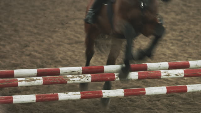 Horse jumping obstacles