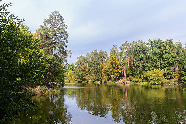istock Pond and trees in the park. Nature 508788272