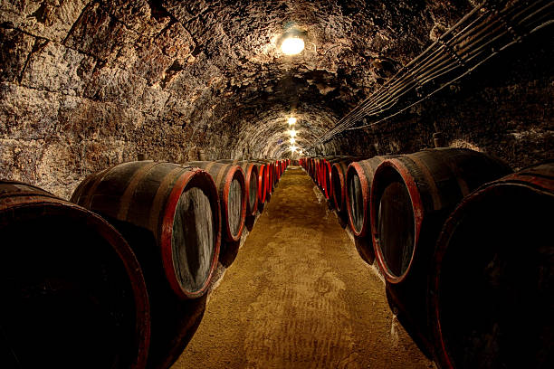Wine cellar stock photo