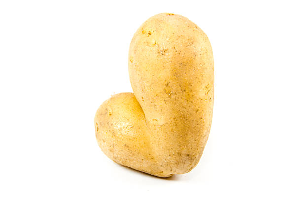 istock Fresh Brown Potato on white background 508788987