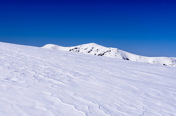 istock Mountain scenery in Vigla, Florina's ski center, Greece 508789116