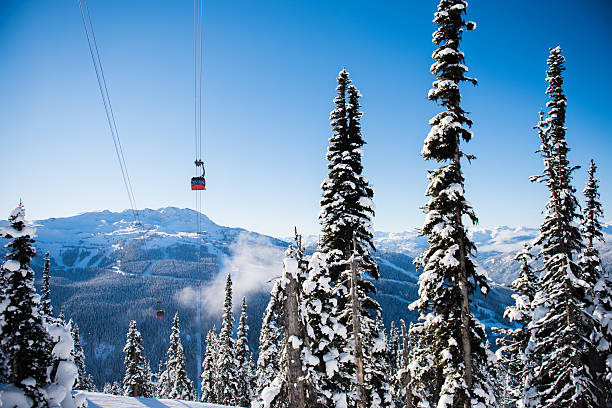 istock Whistler ski resort in winter 508790012