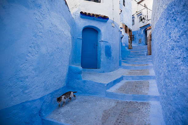 istock Alleyway in Chefchaouen, Morocoo 508795316