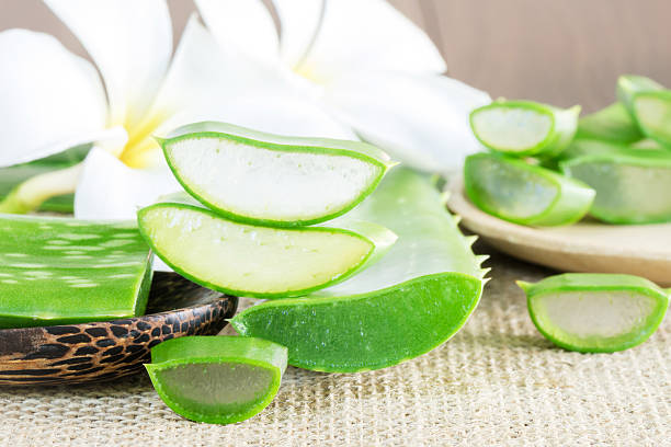 istock Aloe Vera use in spa for skin care 508795450