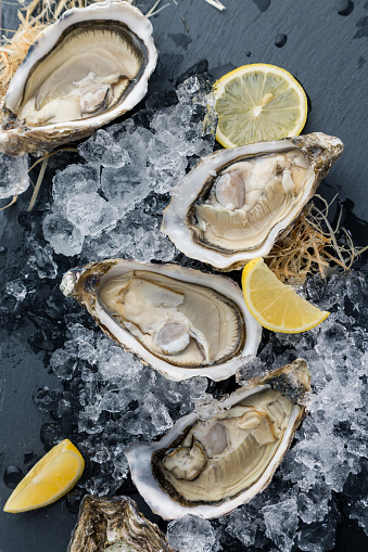 Oysters on the ice and lemon