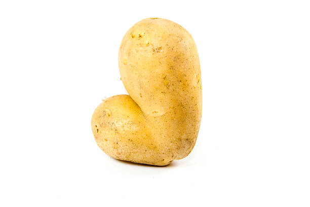 istock Fresh Brown Potatoes on white background 508814073