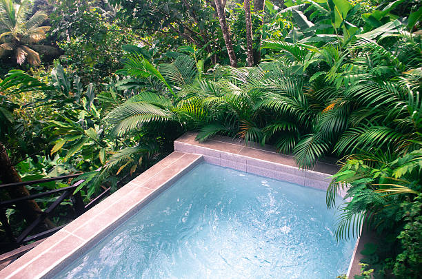 istock pool in lush green vegetation environmentally friendy setting 508814872