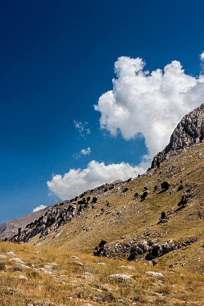 istock The steppe and the clouds 508815347