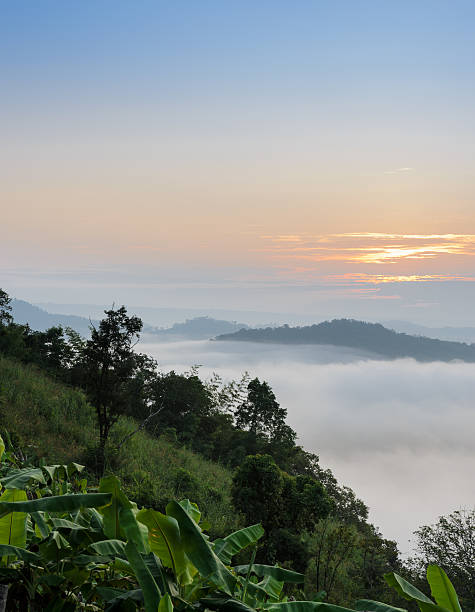Sunrise with sea of fog above Mekong river Sunrise with sea of fog above Mekong river at Phu Huai Isan mountain viewpoint in Nong Khai Province, Thailand nong khai province stock pictures, royalty-free photos & images