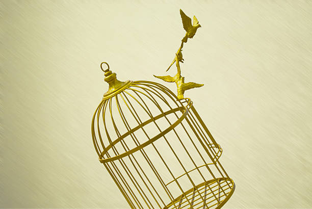 istock art empty bird golden cage freedom vintage background 508816761