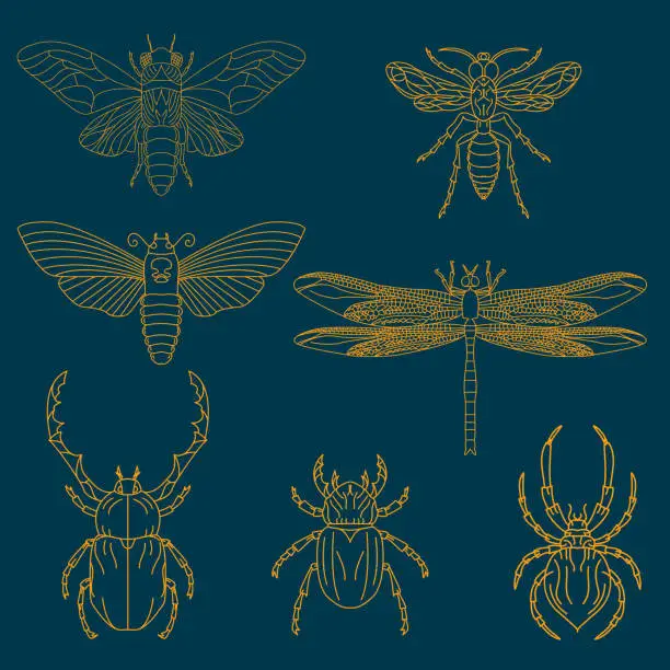 Vector illustration of Set of the insects