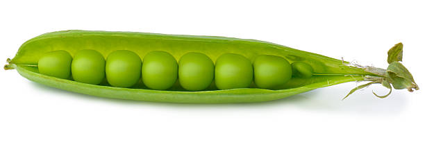 peas in a pod (expressão inglesa) - conformity like two peas in a pod green pea pod imagens e fotografias de stock