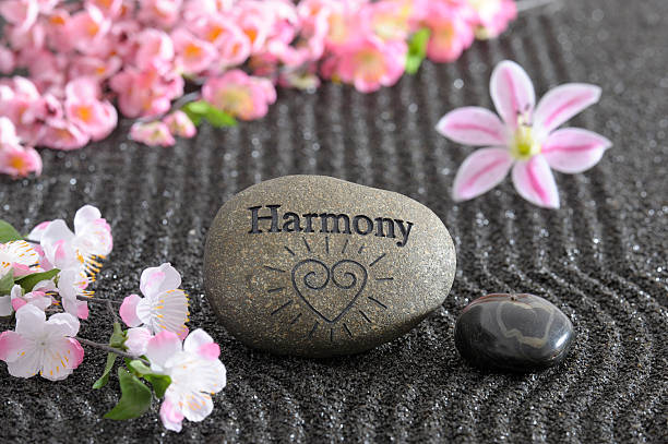 istock Japanese ZEN garden 508817817