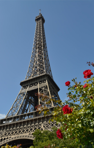 A view from underneath the Eiffel tower in Paris France with red roses in the foreground. Taken early morning under a clear sky. No filters used on this file.