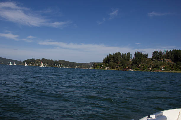 istock sailing dinghy, lake life in vichuquen chile 508818641