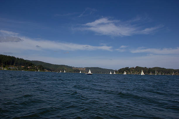 istock sailing dinghy, lake life in vichuquen chile 508818667