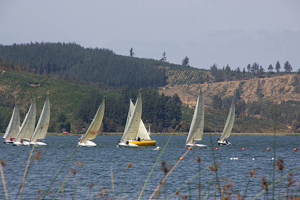 istock sailing dinghy, lake life in vichuquen chile 508818695
