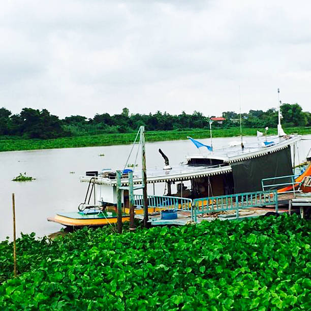 istock Ferryboat for crossing River 508820158