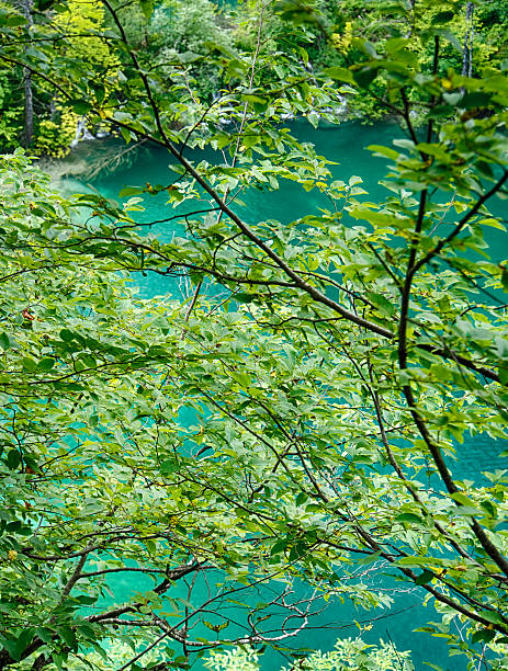 istock View from top on Plitvice Lake National Park 508820581