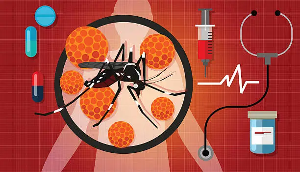 Vector illustration of zika zica virus masquito aedes aegypti spread pandemic aotubreak