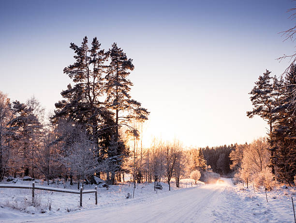 istock Winter road through winter landscape in sunset 508834056